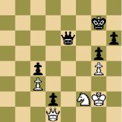 world chess championship