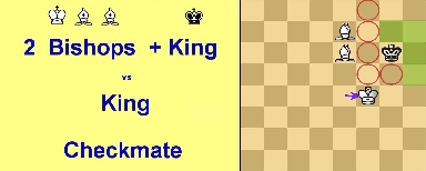 Checkmate  with 2 Bishops