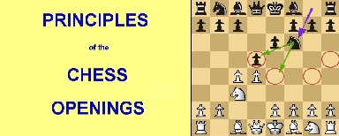Principles of  the chess openings