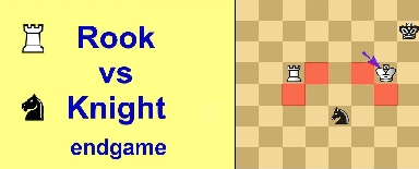 Winning  Rook versus  Knight endgame